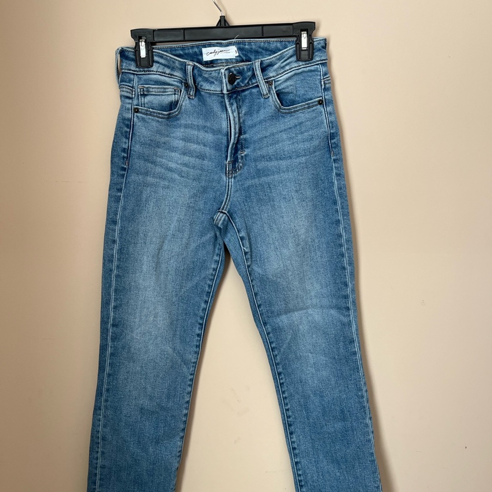 Carly Jean Los Angeles Bailey Skinny Jeans